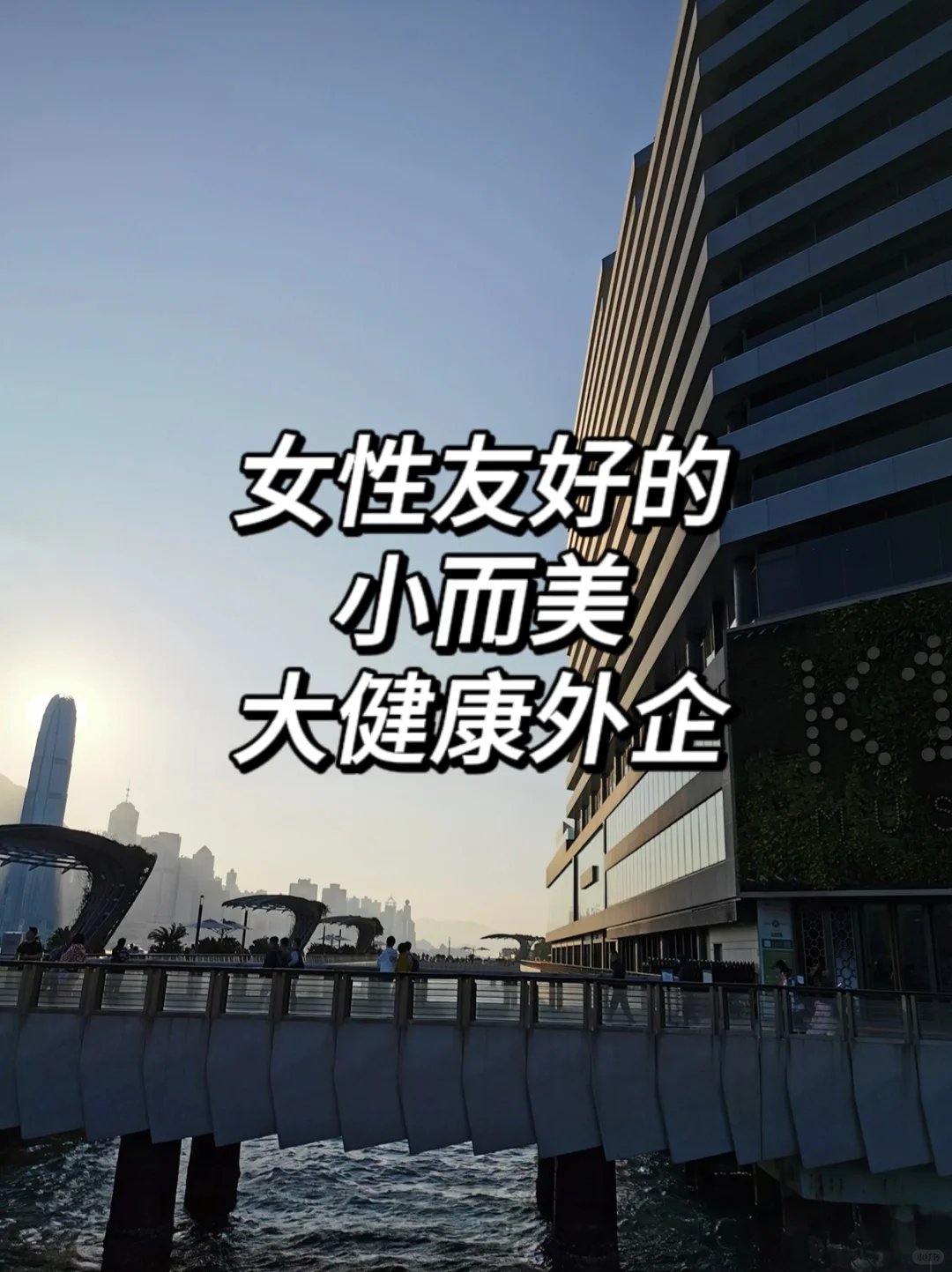 女性友好的小而美大健康外企！真的超香