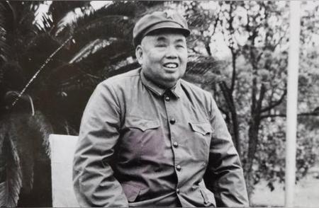 1985年，80岁的许世友上将来到济南，他想去祭奠济南战役中牺牲的华野九纵烈士，