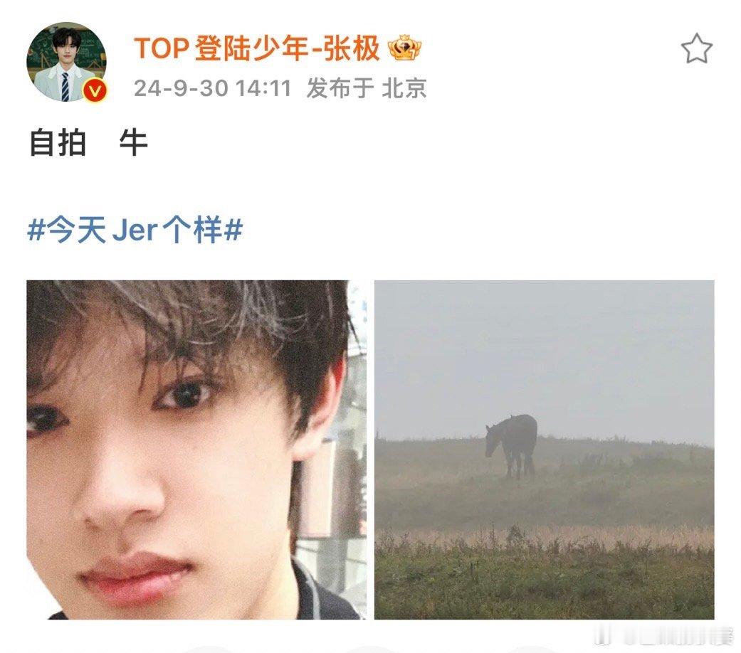#张极[超话]##张极自拍和牛##张极拍自己VS张极拍牛# 张极拍的自己VS张极