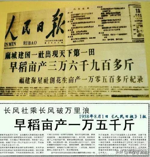 发表于1958年的人民日报头版头条写着:早稻亩产一万五千斤。

有的地区甚至出现