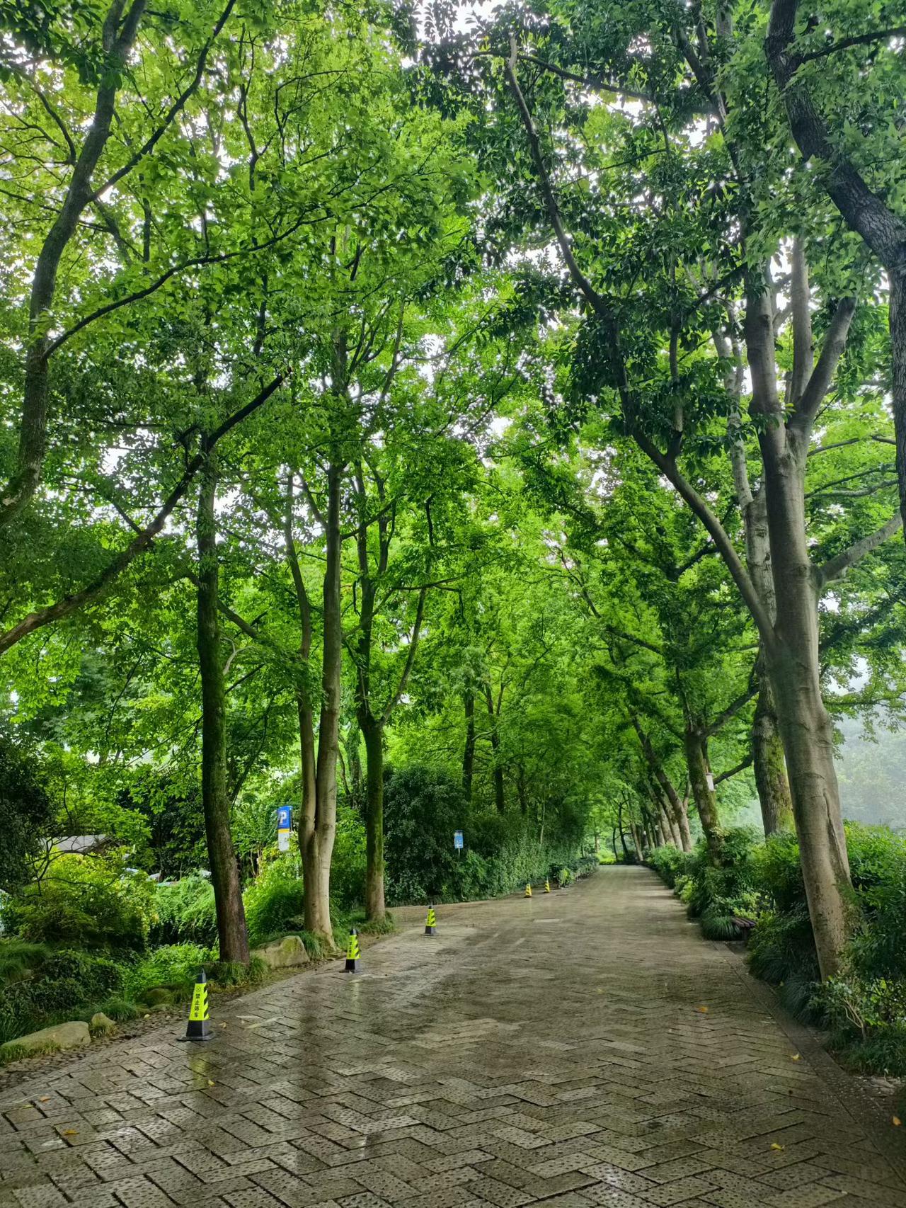 带娃见世面：从消费端迷梦到生产端真相，在广东看懂财富流动的底层逻辑
很多父母以为