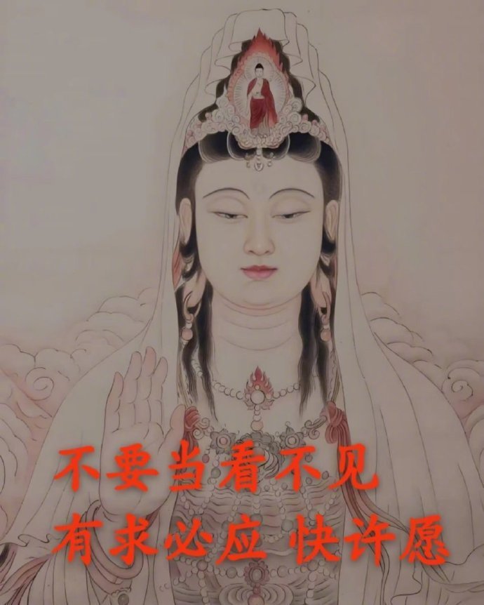 不要当看不见，有求必应，快许愿 