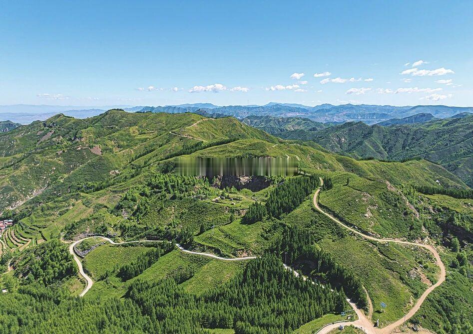 山西浑源黄芪从恒山出发踏上世界舞台    千年芪乡，香飘四海。这根生长在恒山背阴
