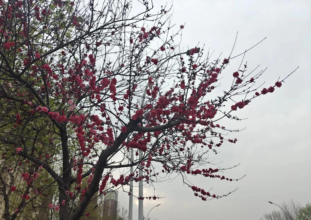 今天最好继续下跌
真的最好继续跌

不然明天还会继续大跌
所以今天跌了的话，明天