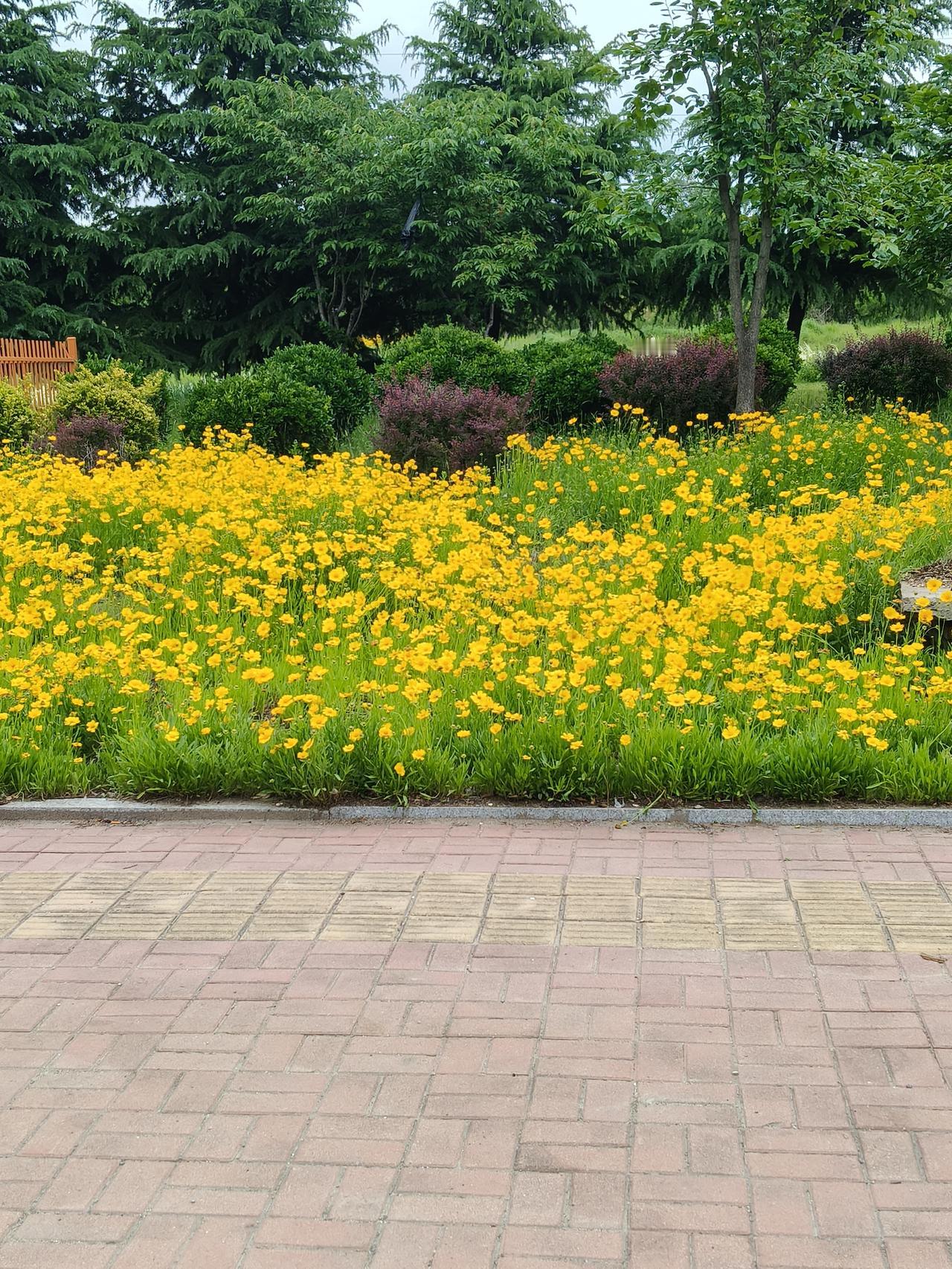 又是同胞干的好事？


意大利米兰法院5月14日审结了一项杀人案，两名主犯zho