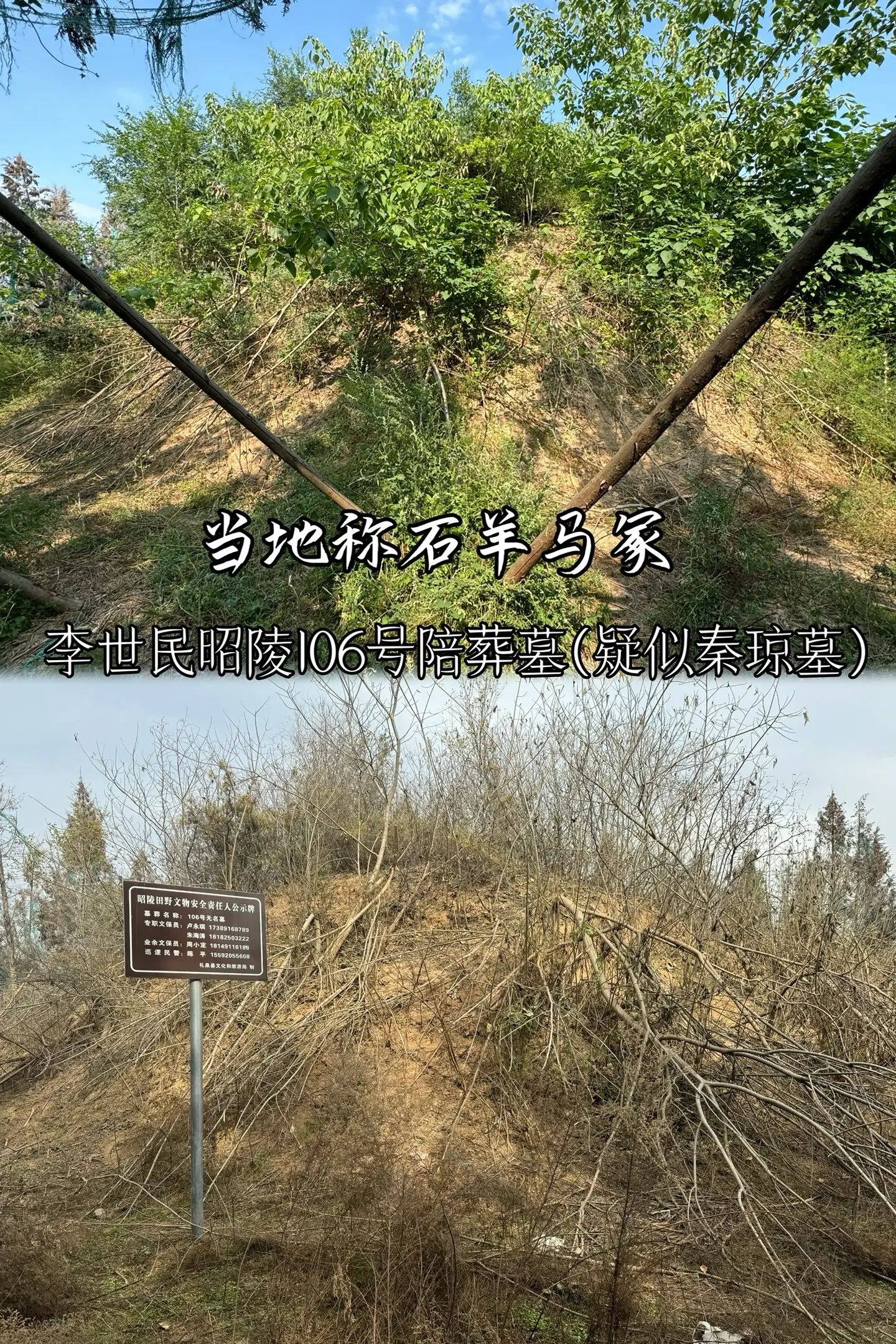 石羊马冢疑似门神秦琼（秦叔宝）墓？李世民昭陵106号陪葬墓，当地人称石...