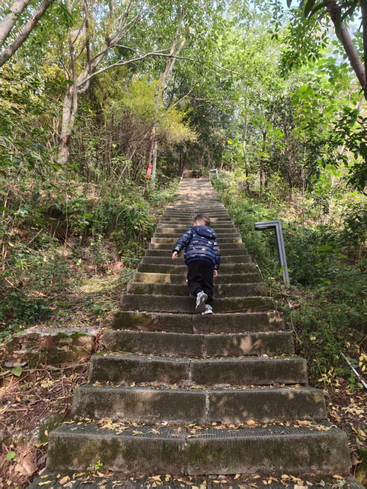 一位80岁的老教授表示：很多事情固然早点尝试为好，但即便晚一些也无妨。只要着手去