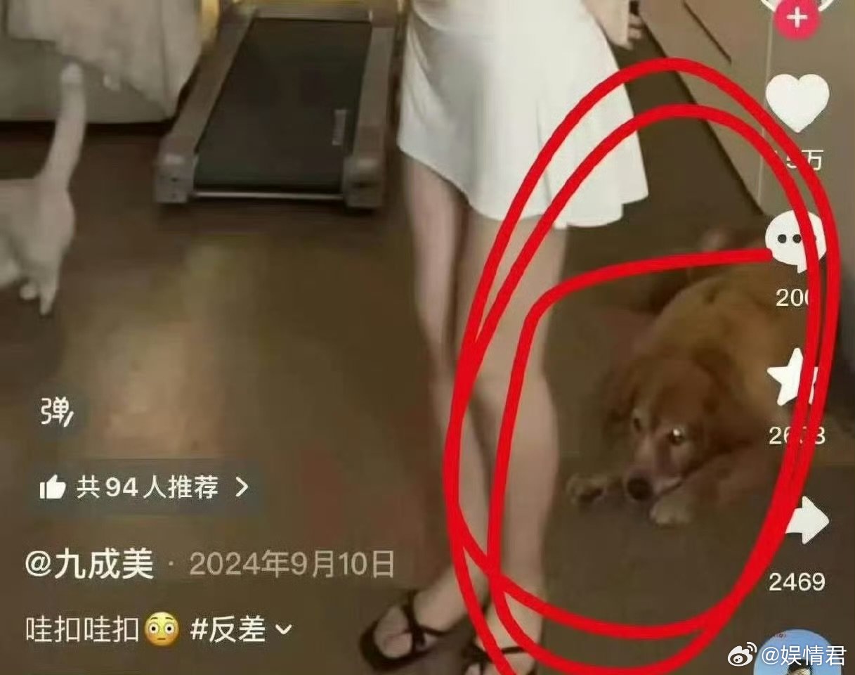 田栩宁对应的营业照田栩宁对应的营业照 