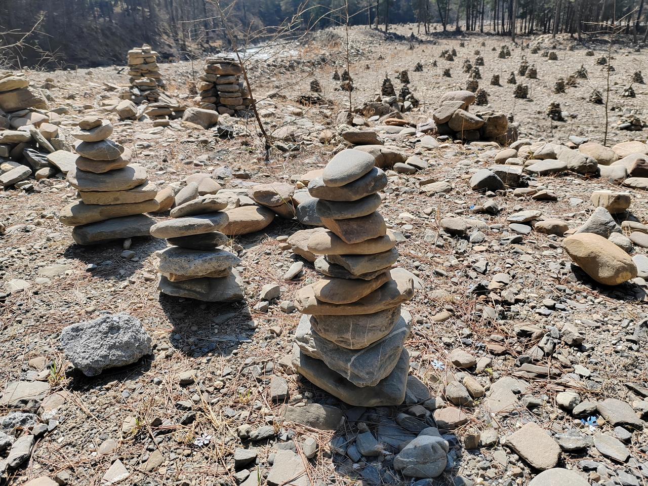 AI即人工智能（Artificial Intelligence），它是一门前沿的