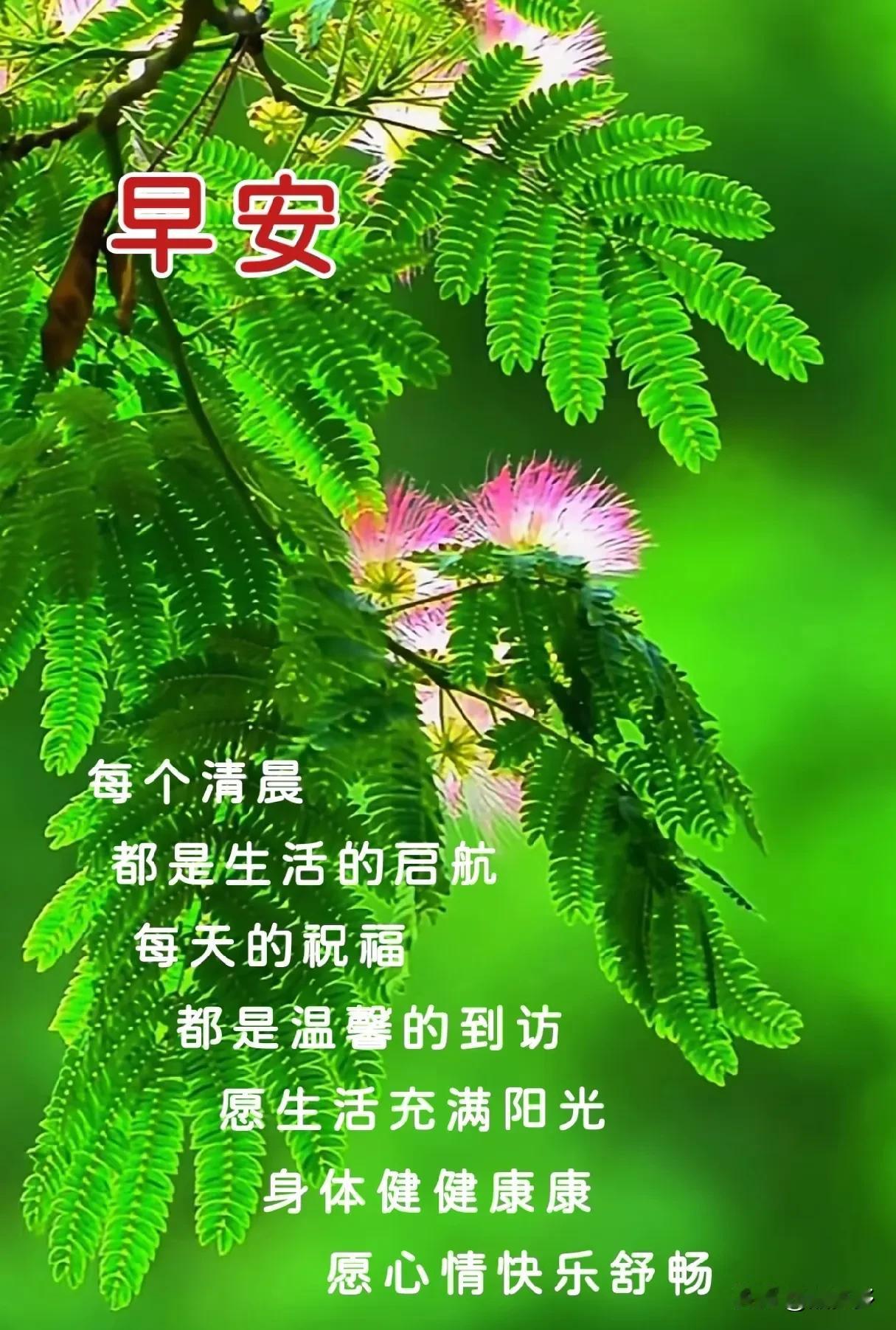 朝阳初照梦初醒
鸟语花香空气清
好友早安添喜气
新天新景好心情
[心][微风]