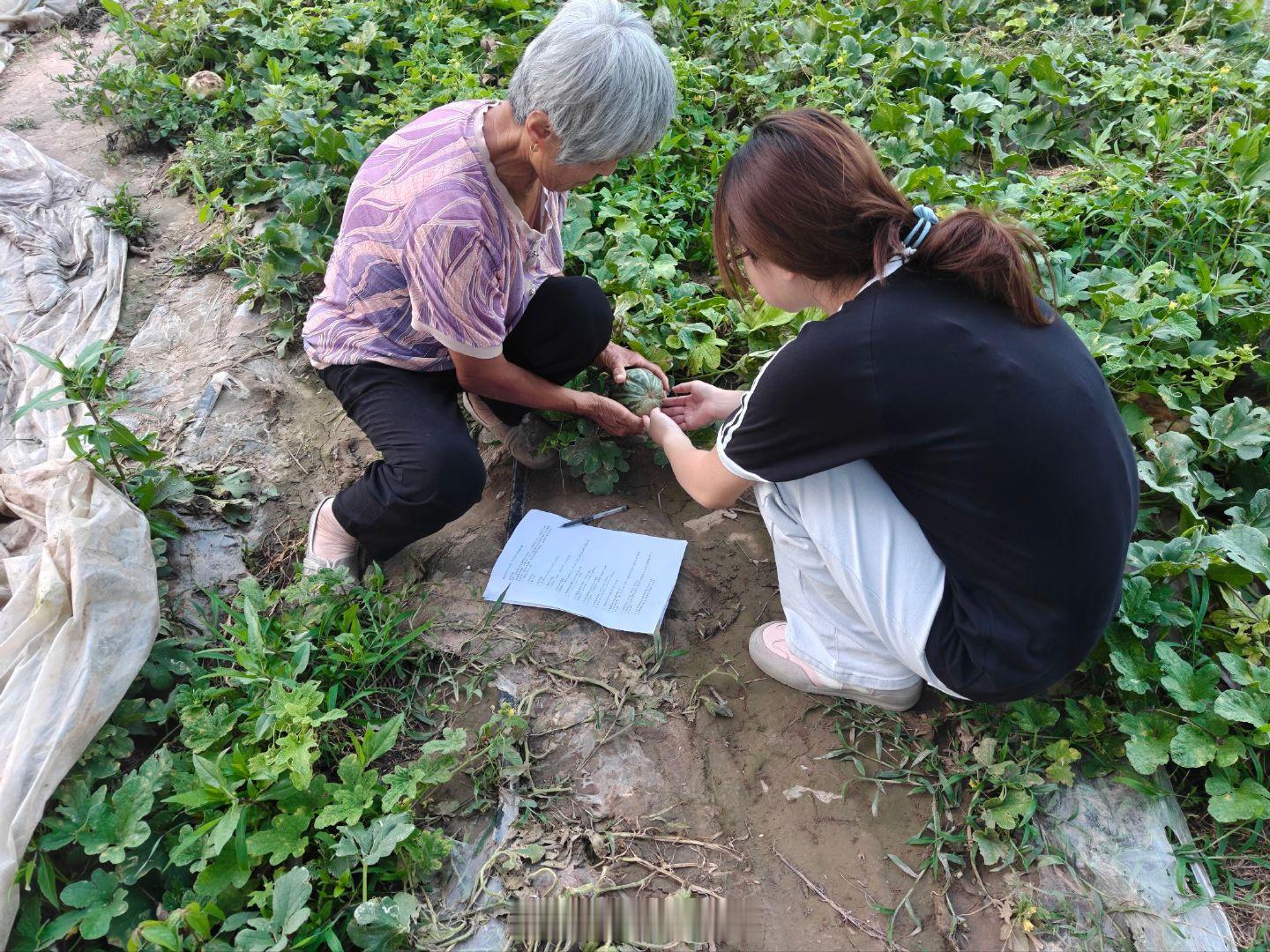 【多元种养激活乡土活力，绿色农业助力乡村振兴】山东学子深耕黄河种养产业赋能农户增