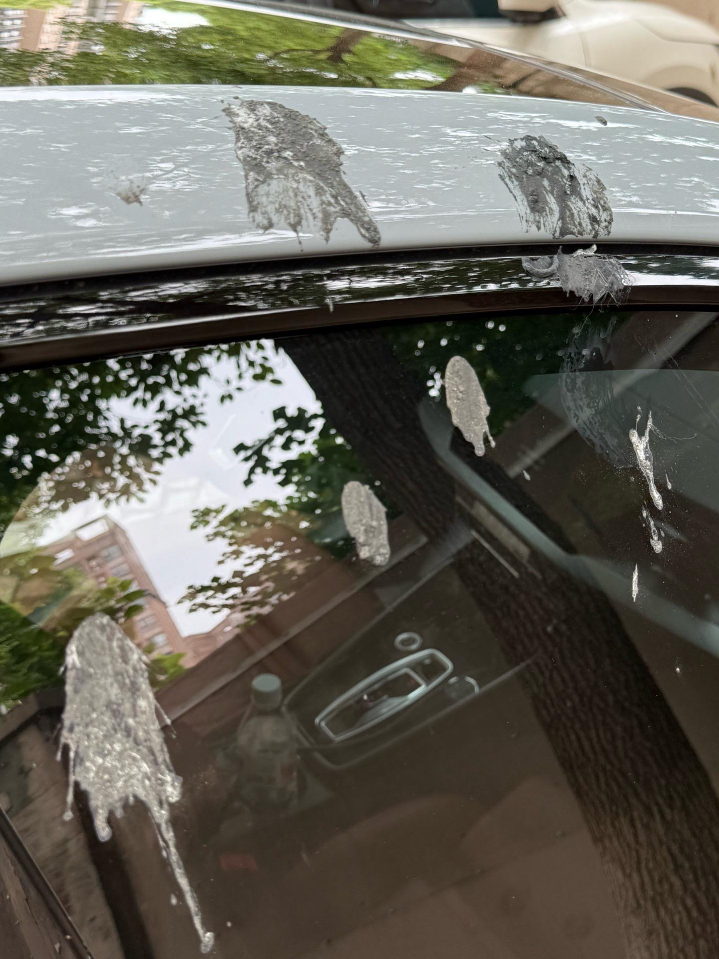 买个der啊，刚洗完车不到24h，树下停一晚上，成这样了，还留胶了