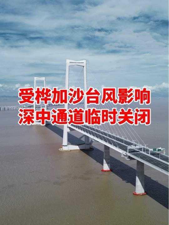 受今年第18号台风“桦加沙”影响，深中通道已实施交通管制，具体情况如下 ：
 
