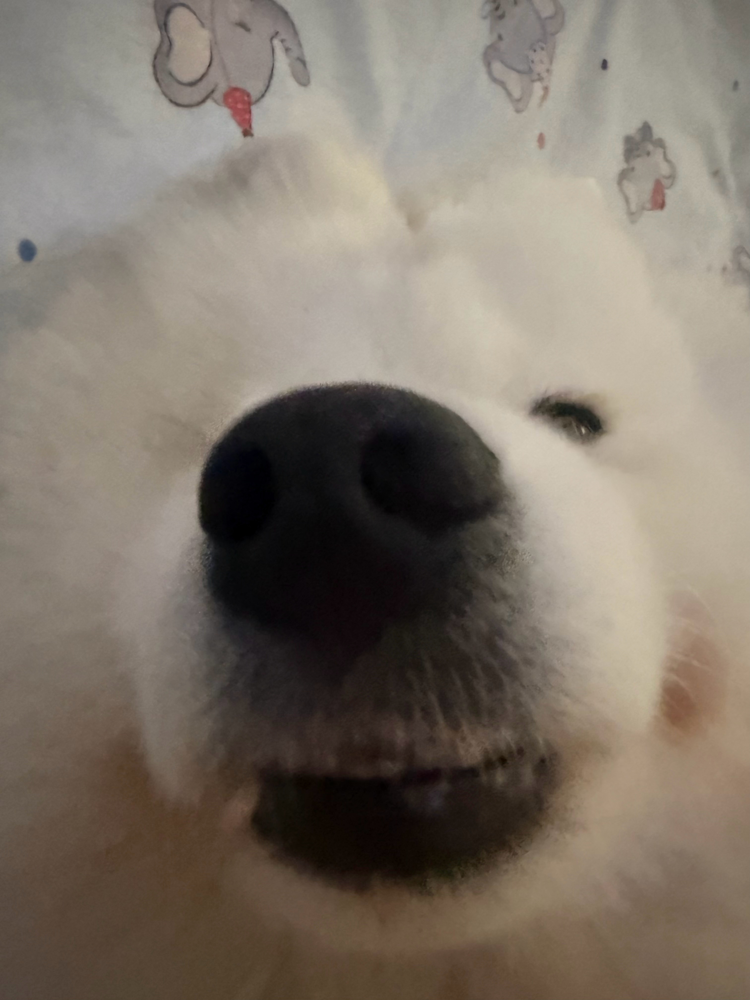 拿去吧！拿去当工牌的皂片吧！！一不小心就升职了呀！！ 