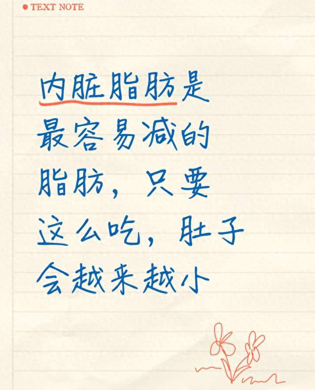 内脏脂肪是最容易减的脂肪，只要这么吃，肚子会越来越小