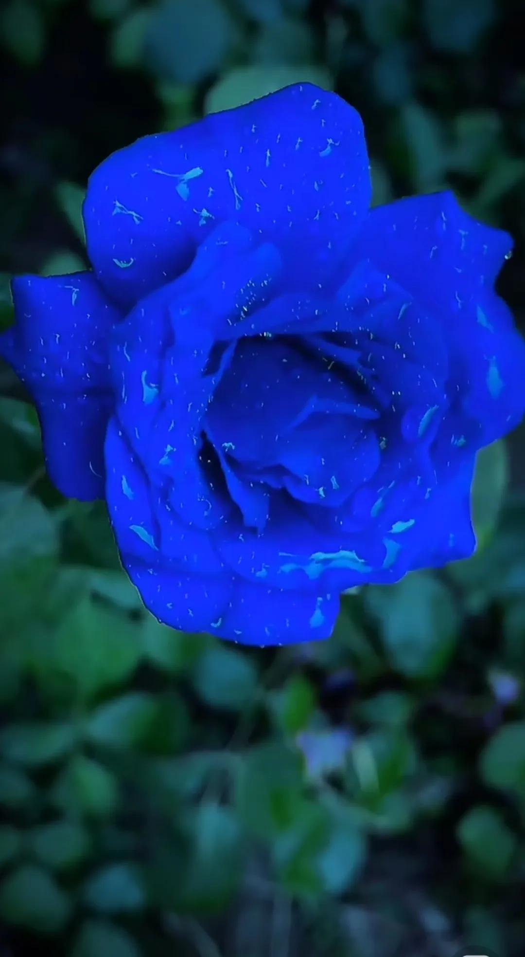 夏日生活打卡季空调房看老电影打卡：拉上窗帘开足空调，裹着薄被看《菊次郎的夏天》，