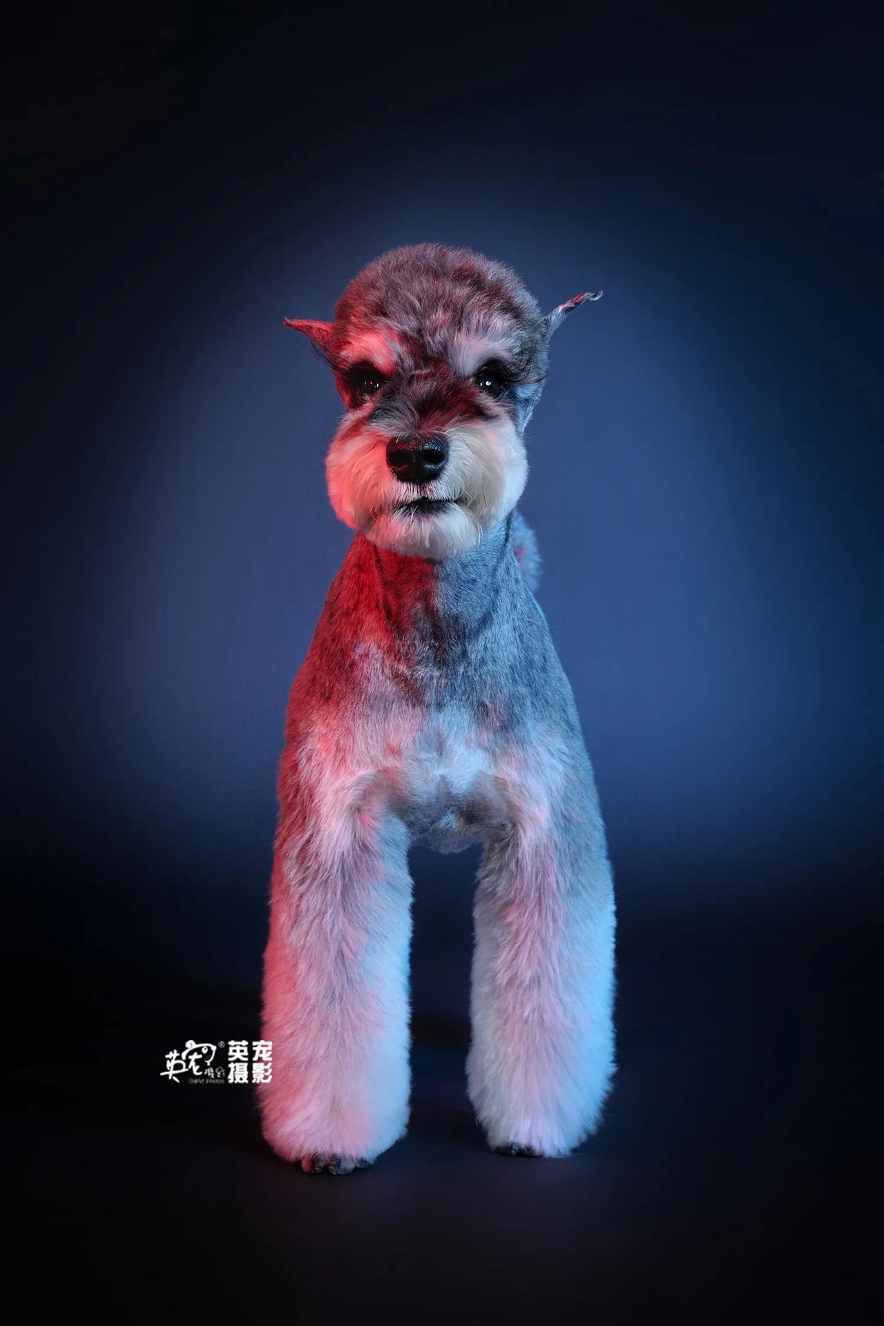 笑起来温柔可人
不笑的时候，还真是有点帅耶😜