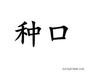 形容种类、品种，南通金沙话有一特色词汇——种口，多指归为一种特点的人。例如：“他