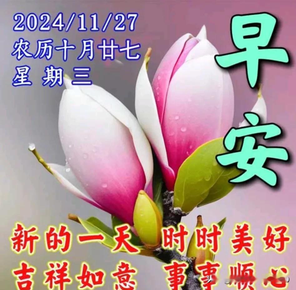 日出日落一天天，
秋去冬来一季季；
文字无声真情在，
问候无声送吉祥；
祝福再次