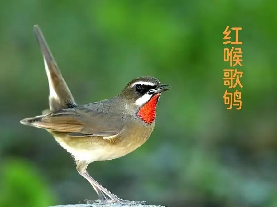 快来看看我新换的主页背景吧