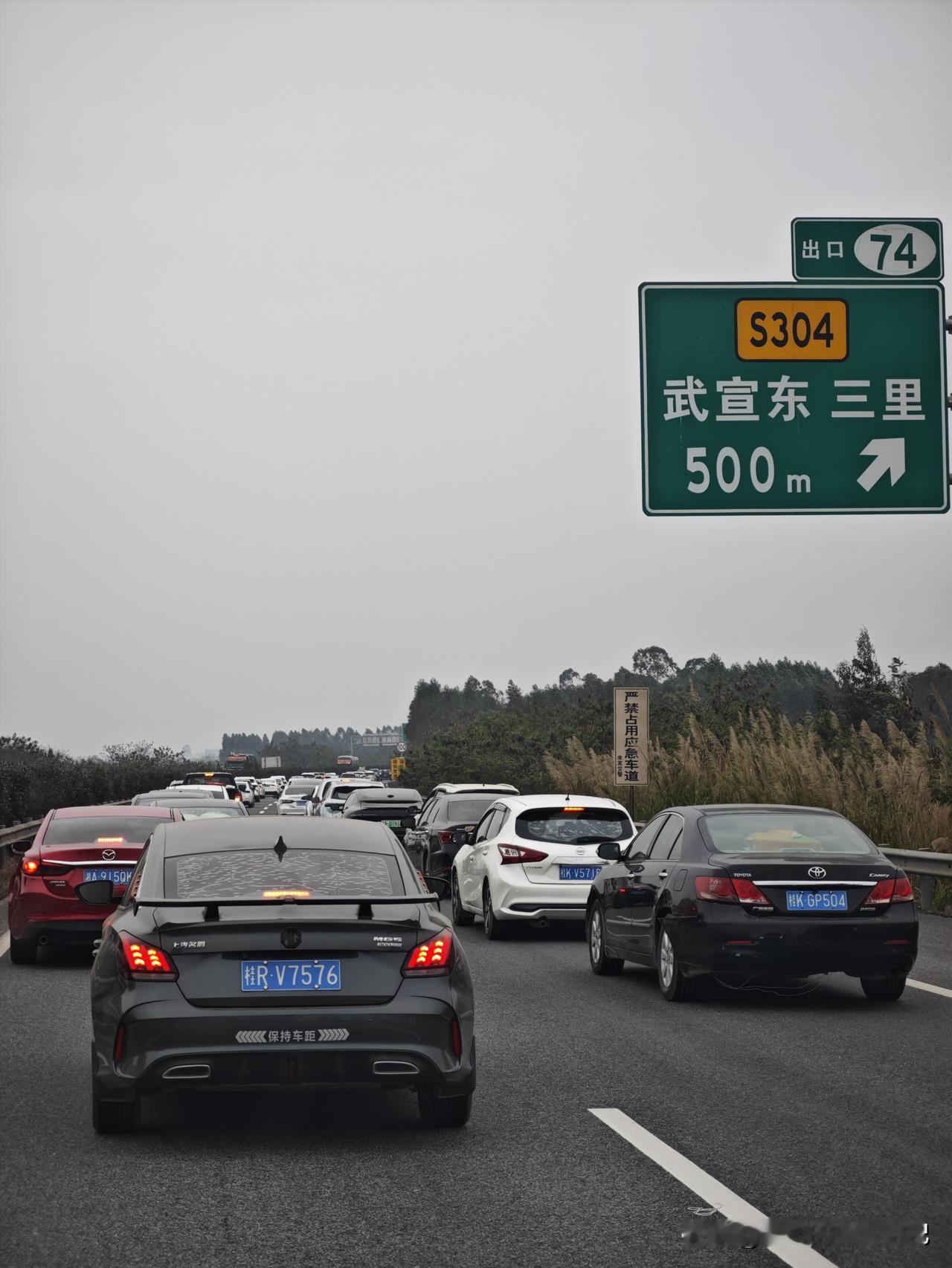 晒图笔记大赛堵在高速🛣️上了，没想到今天已经是返程高峰了...