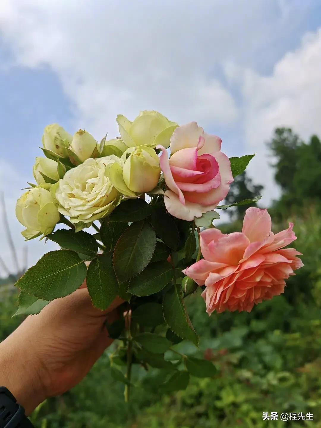 婚姻中遇良人，事业中遇贵人，这种人应该快乐吧！
其实有时候我在想，这个巨大变革的