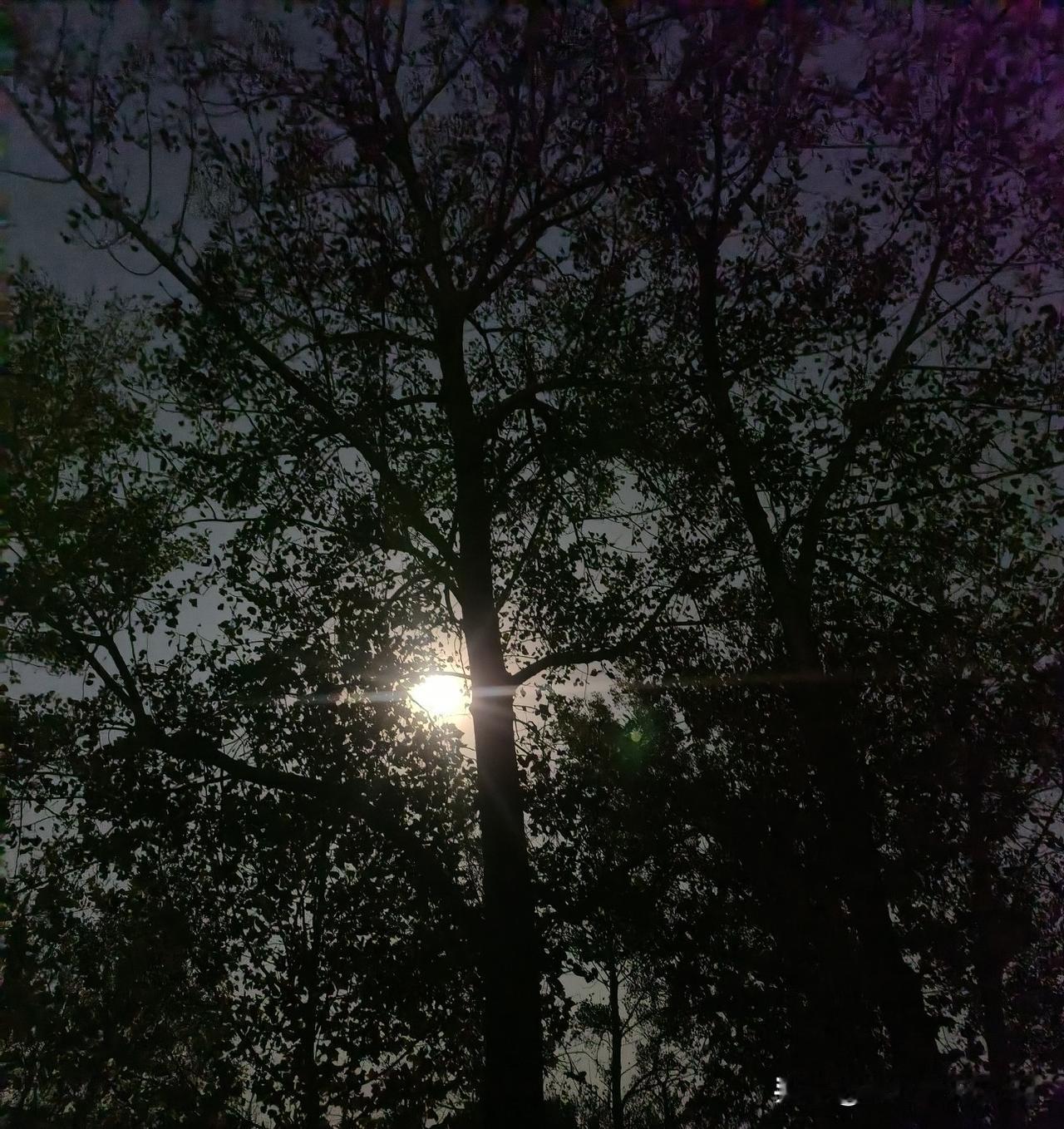 全球通缉‘台独’首恶！大陆亮出红色通缉令，天涯海角无处遁形

逃到天涯海角，“台