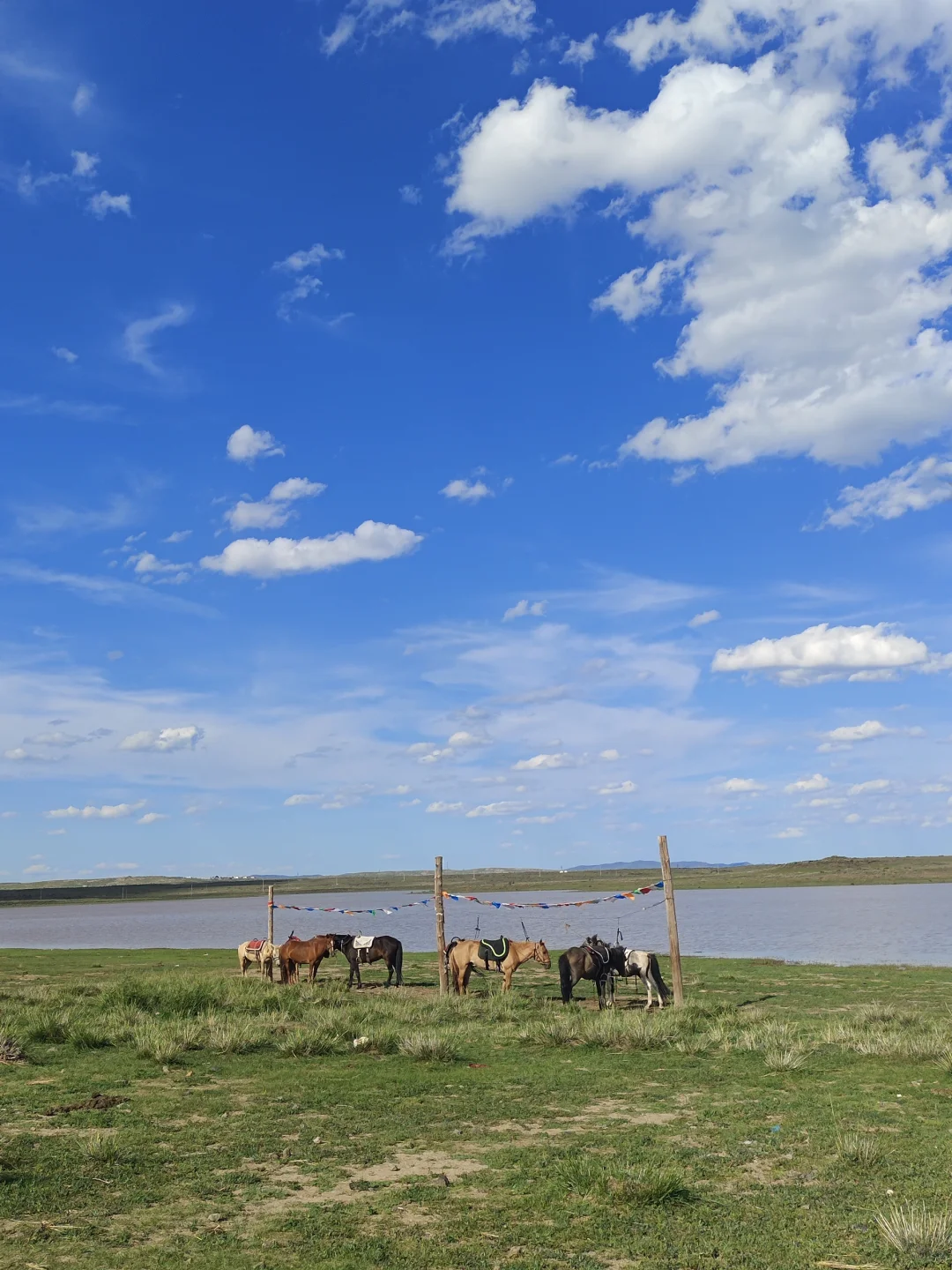 我要努力攒钱！让外公也能去看世界！