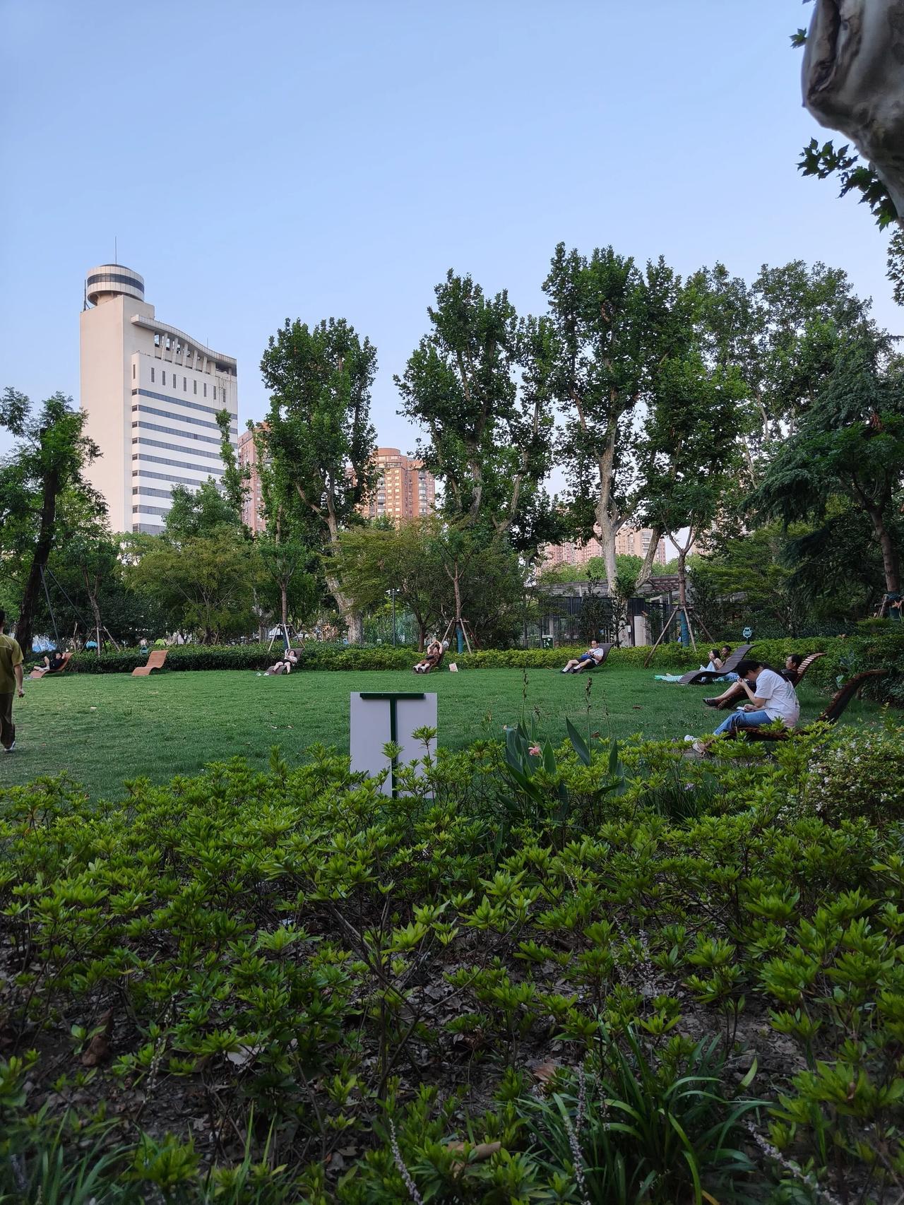 夏日清凉美景随手拍实景图分享！

周末傍晚🌆公园散步随手拍……🦢🌿🌿🌿