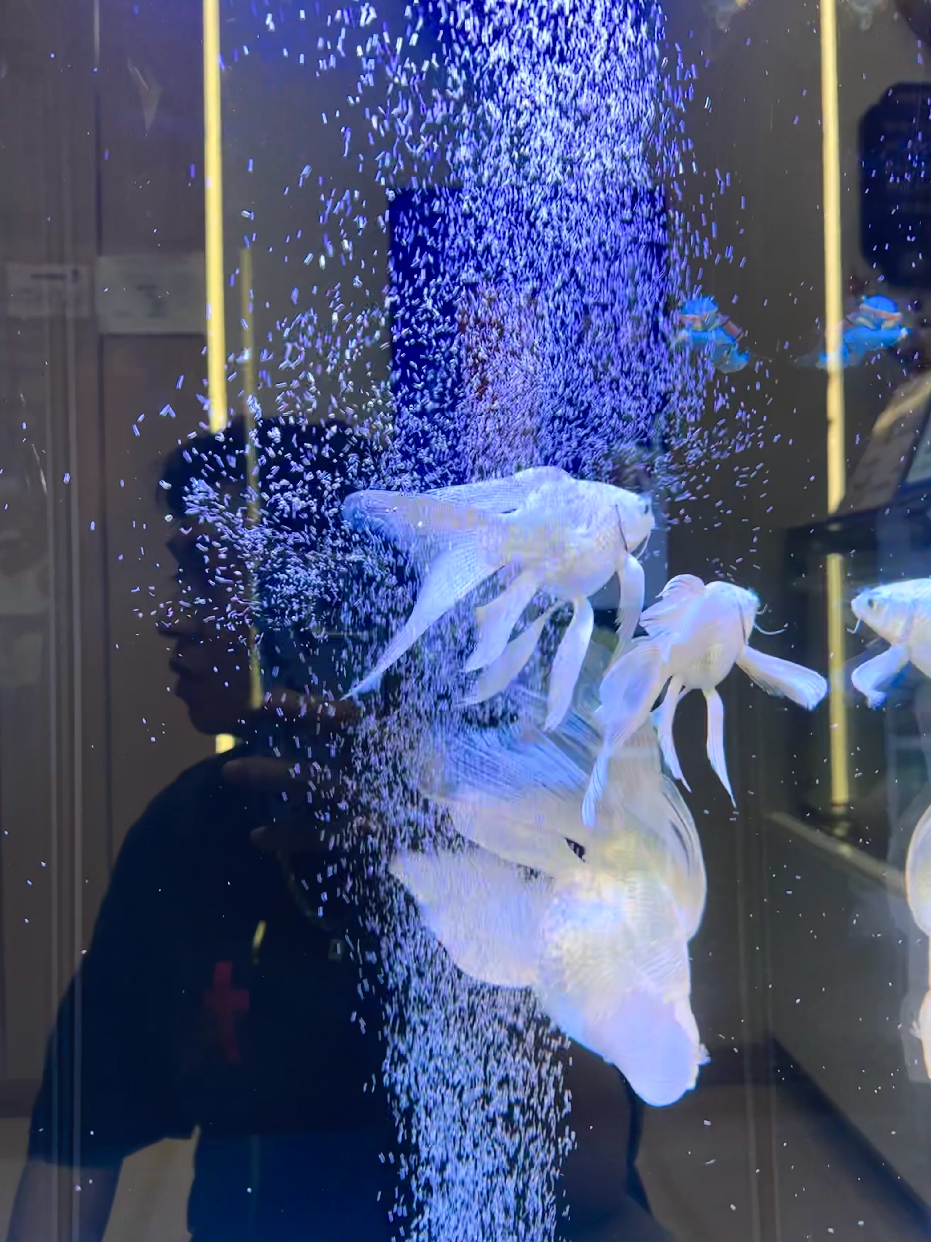 我没有被他耍的团团转转圈是我的爱好我有我自己的打算 ​​​