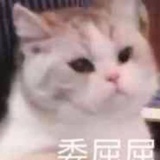 揽霞热聚科技