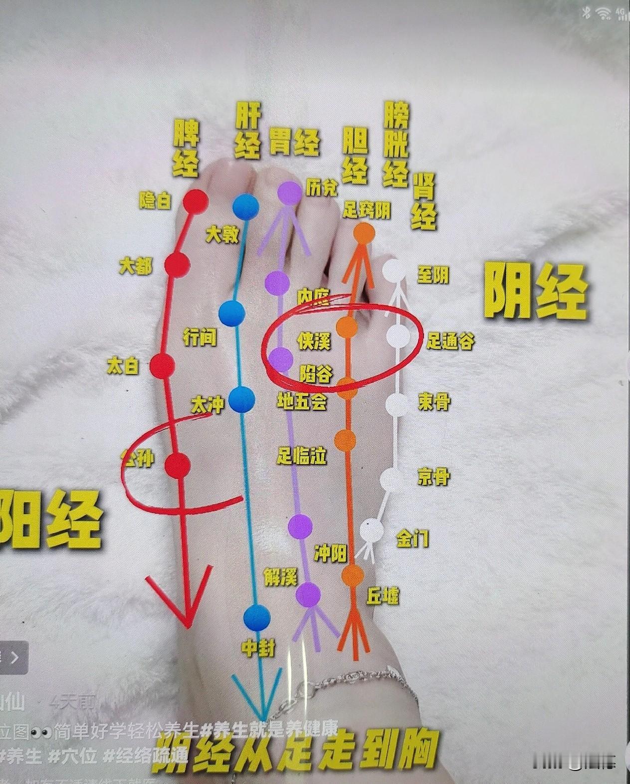  
 
1
 
标题：人老了，少生病就靠这4句话
 
人老了，想健康少生病，
记