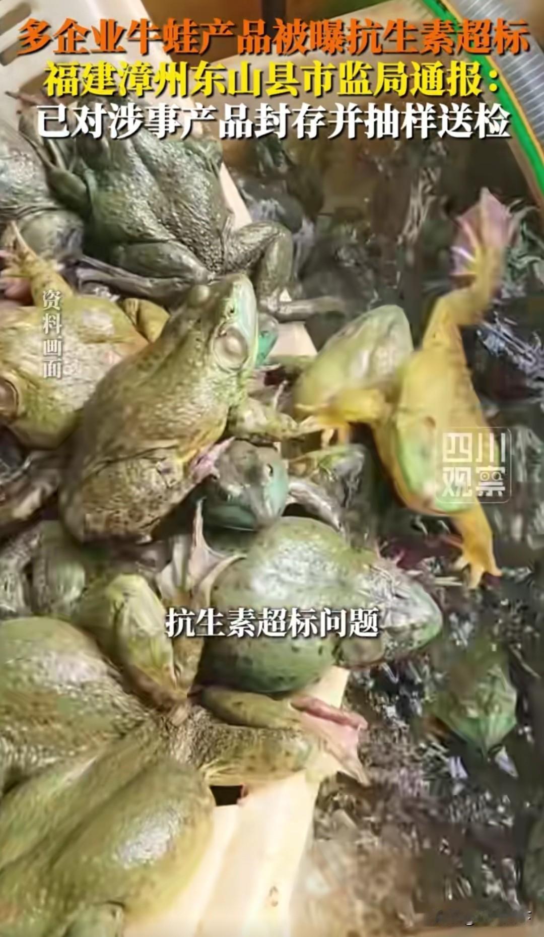 爱吃牛蛙的天塌了，近日，牛蛙被爆抗生素超标，幸好我是不吃牛蛙的，从曝光的视频看，
