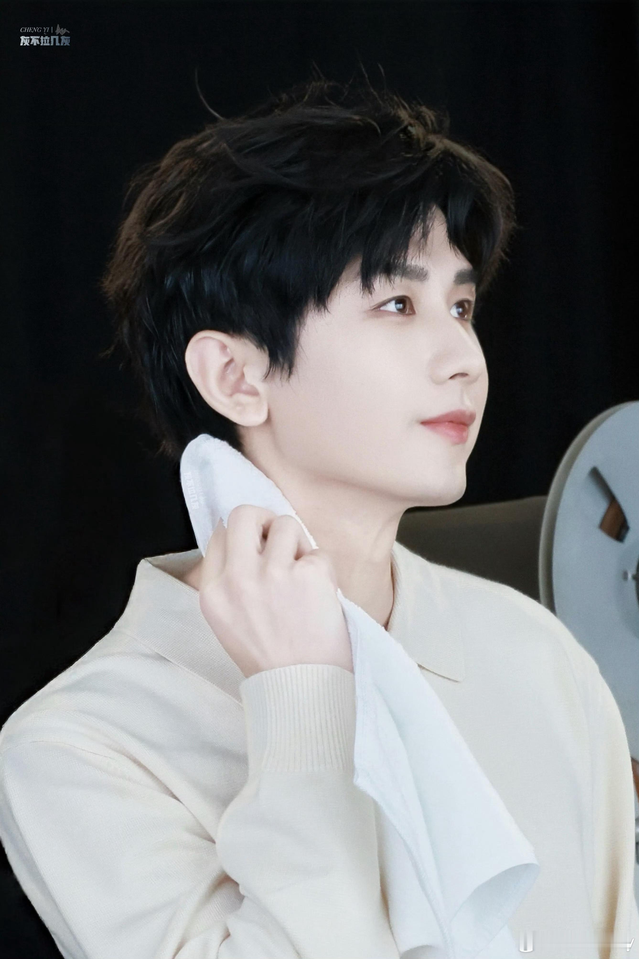 成毅两京十五日cy成毅朱瞻基这种“力、美、意”的三位一体，既有书法般的遒劲笔意，