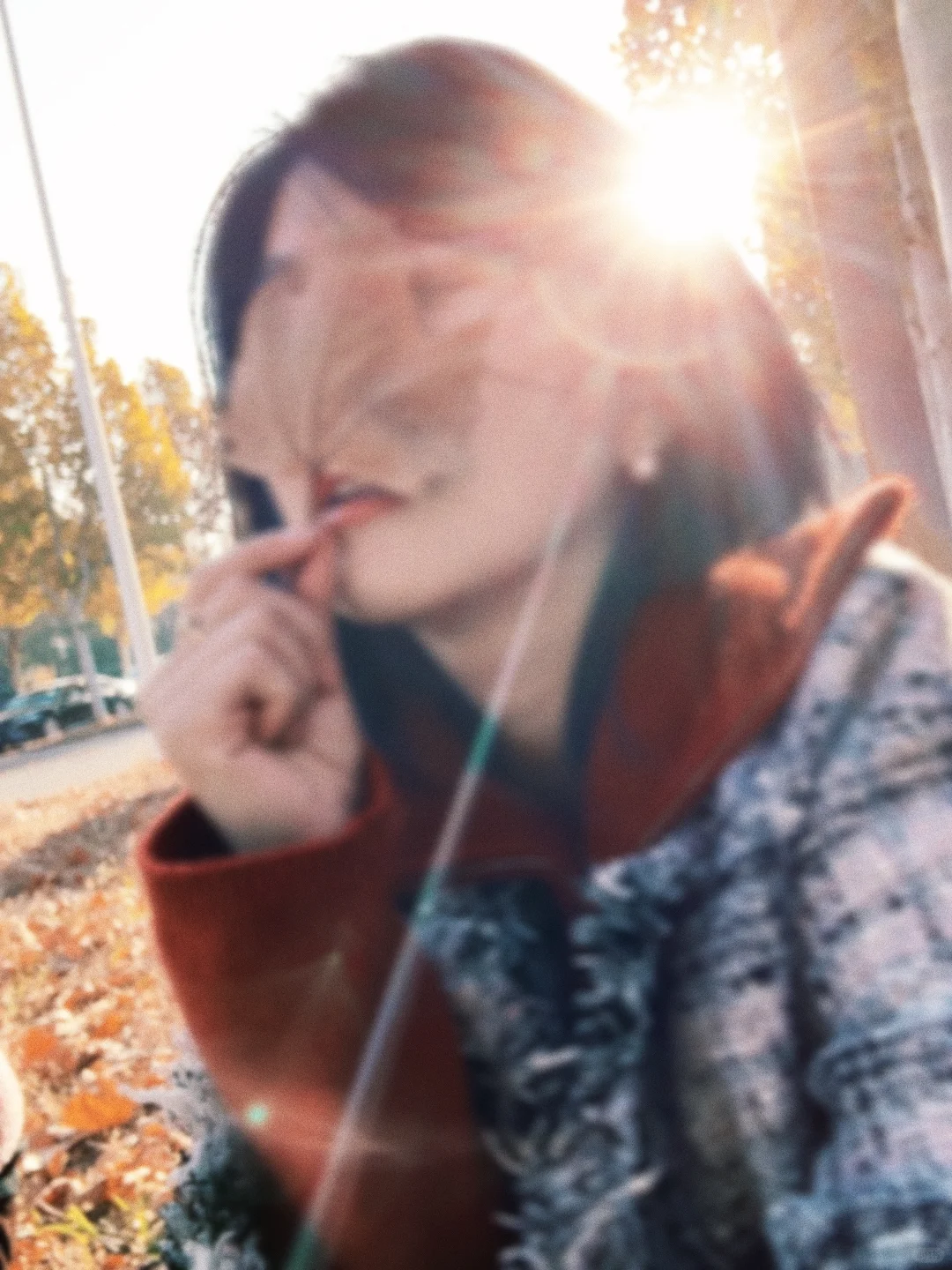 我会反复爱上北京的秋天🍁🍁🍁