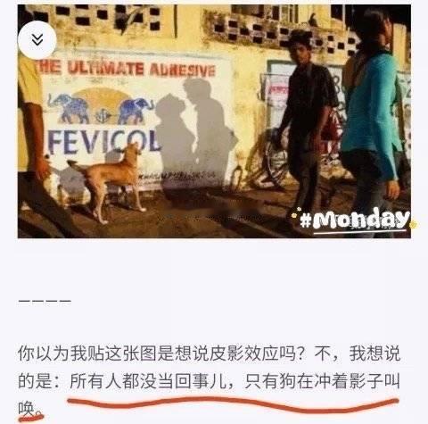 是个人就自己长嘴吧别让嘴只长在蠢粉身上还在给无辜女演员造谣