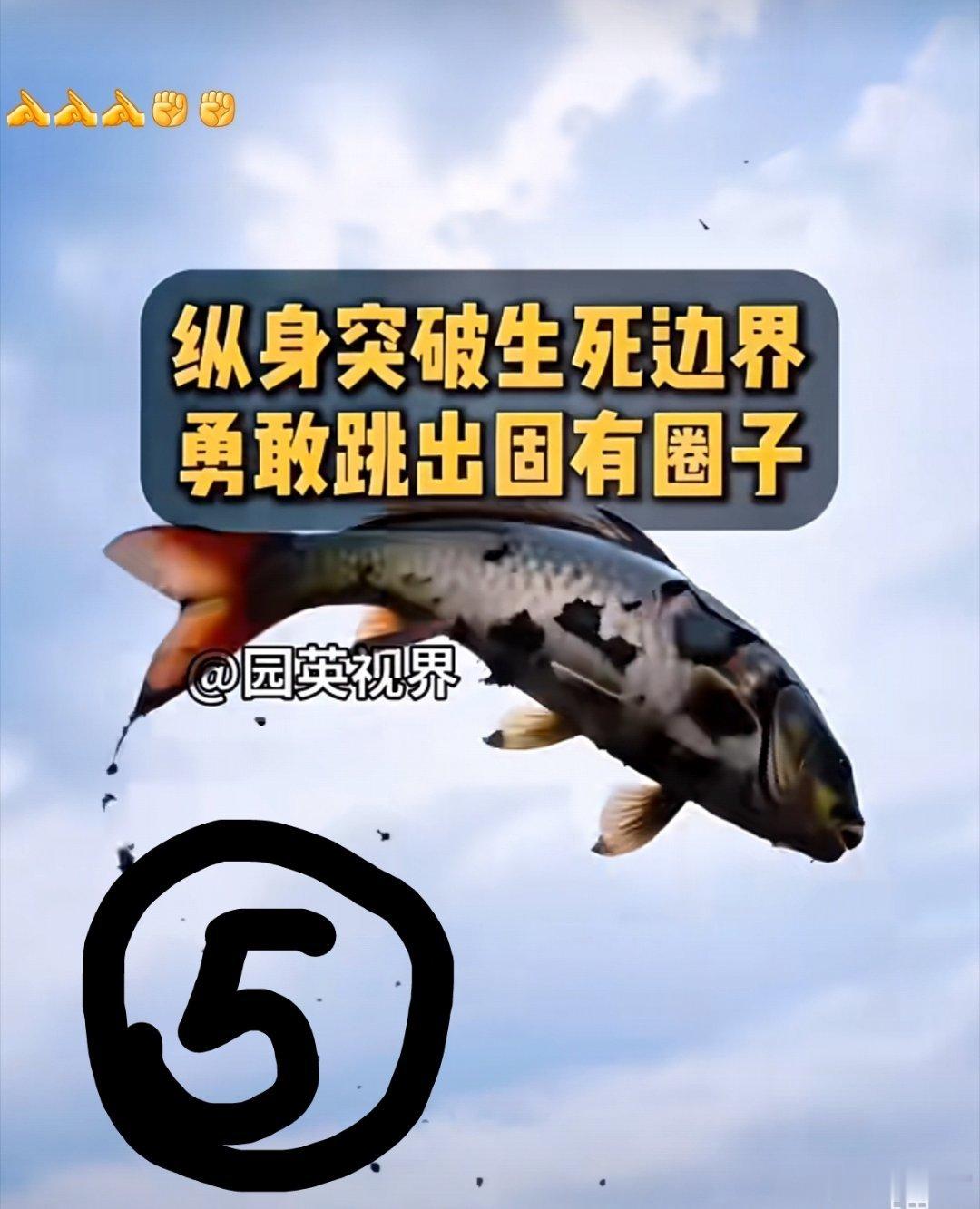 彭晓勇说《逃离泥潭·破局重生·自由翱翔》做事要全力以赴，熬过千般苦，换来余生自在