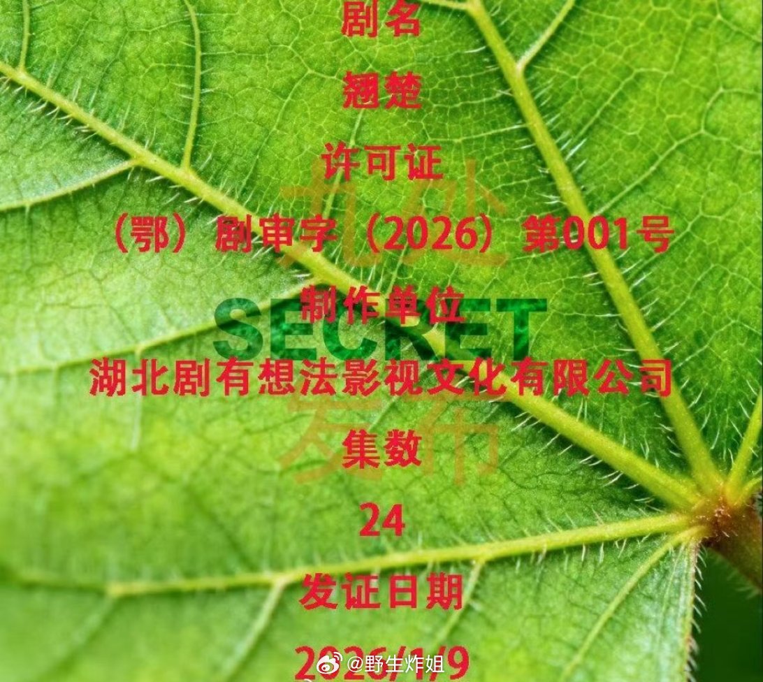 陈都灵跟周翊然主演的《翘楚》这部剧正式下证了呢，取得发行许可证就意味着离播出不远