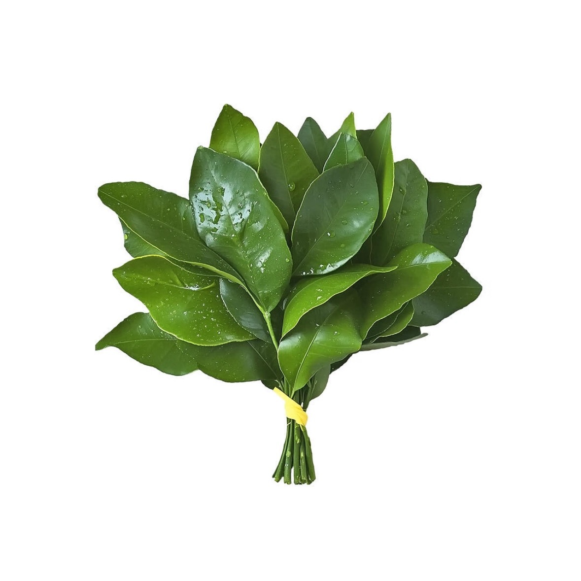 差不多真要换这个头像了 
