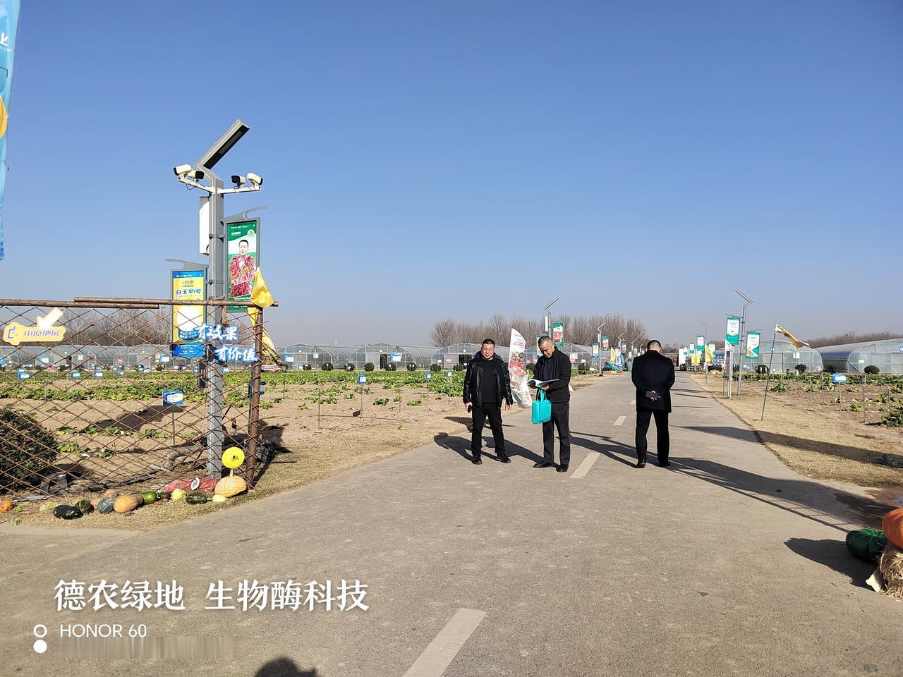 柑橘、脐橙、荔枝黄化病防治意见（发江西农业厅），新疆库尔勒香梨枝枯病：

1、灌