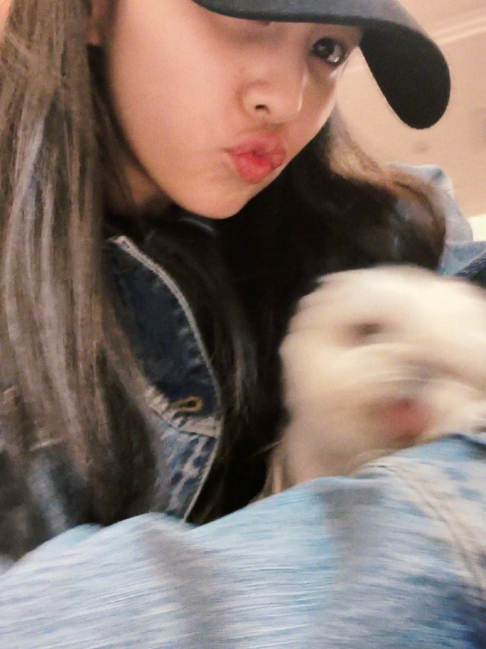 白鹿回老家了 白鹿要开开心心的啊 ​​​