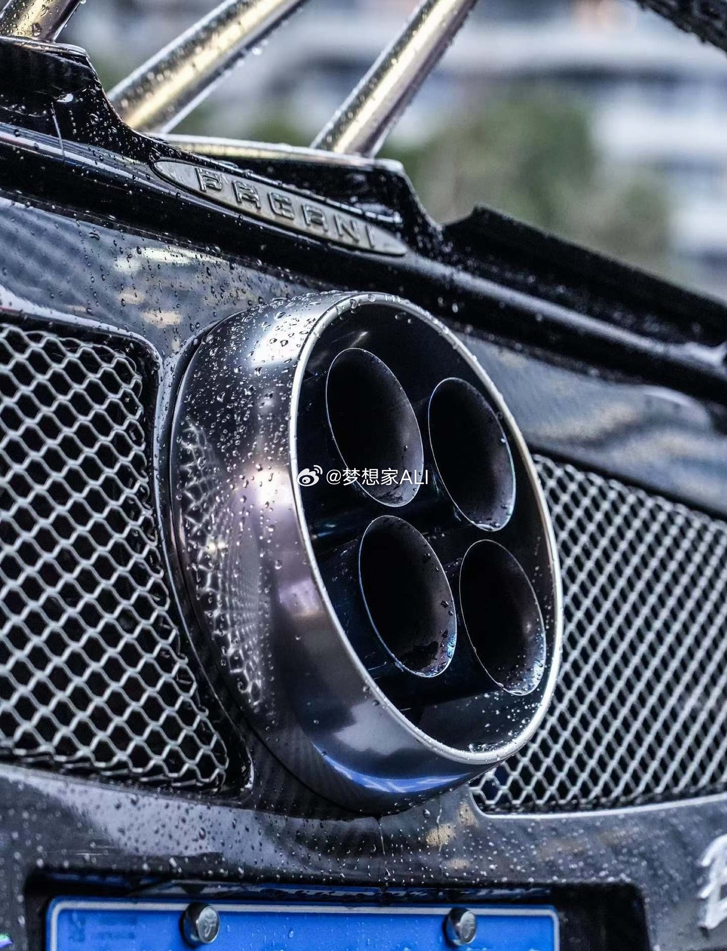 早啊二月二龙抬头梦想家ALI 上海