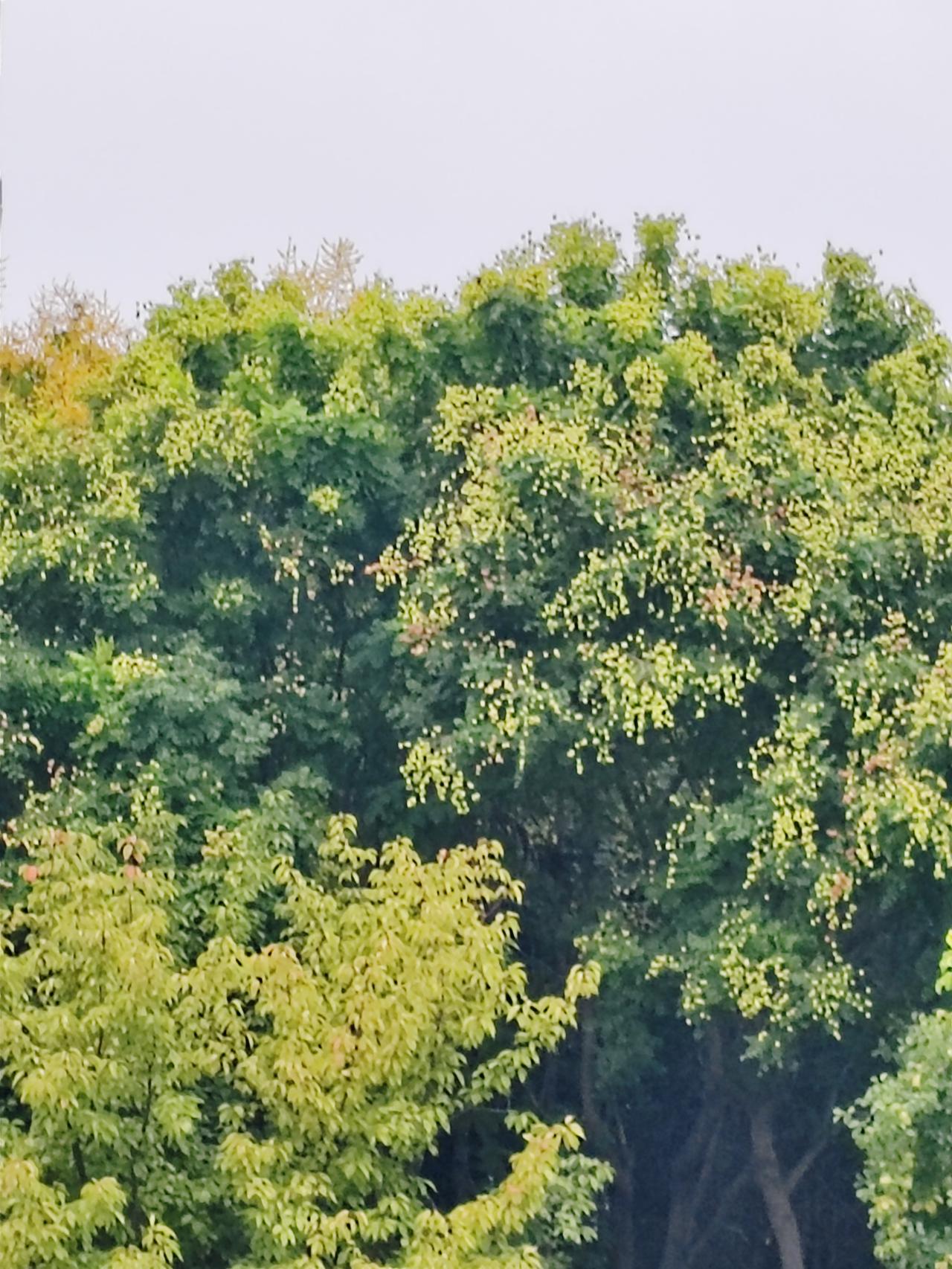 上联：雨湿桃花梦，诚邀下联。风解相思情