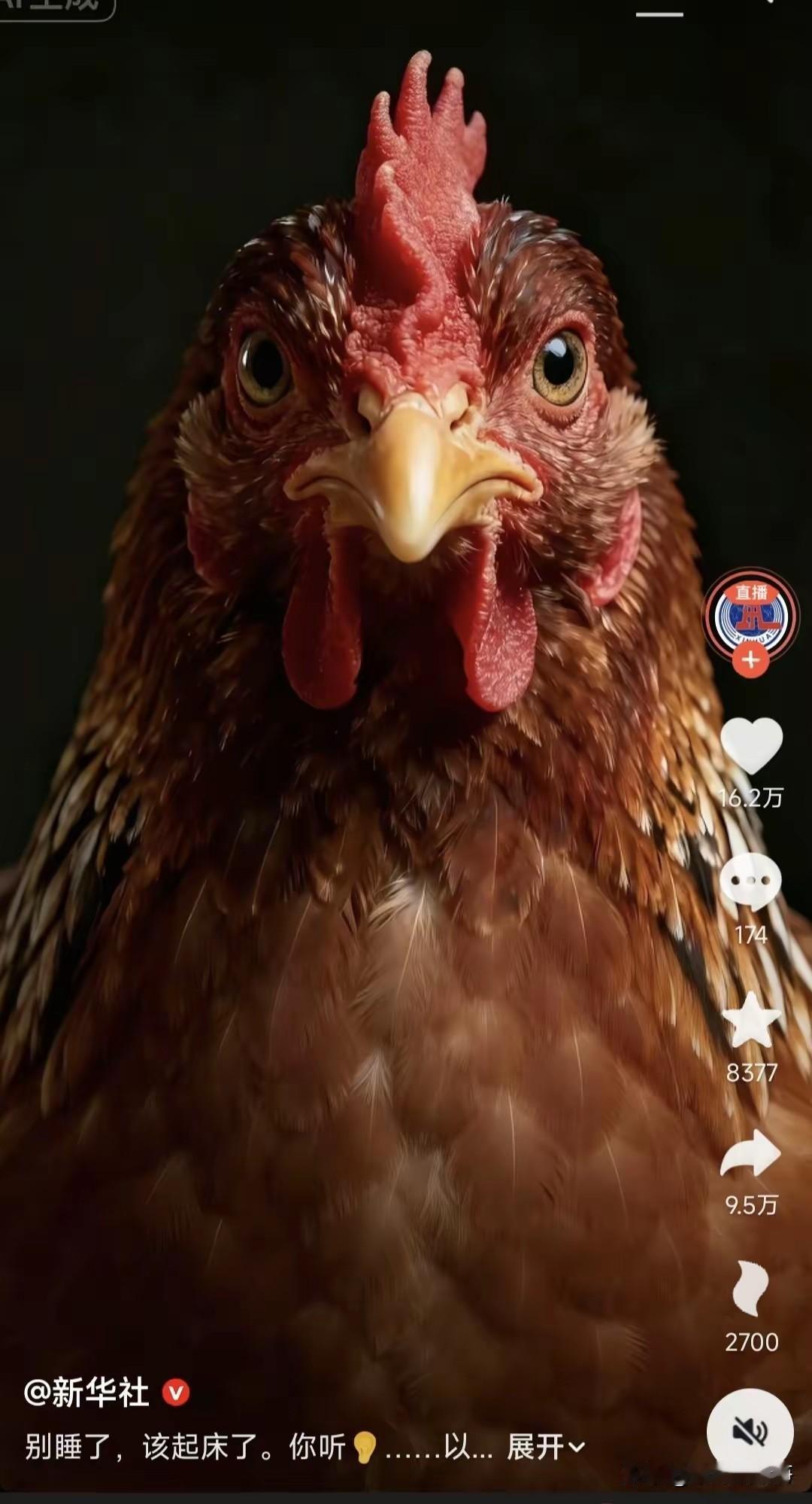 新华社为什么莫名其妙的发了这样一张图片？雄鸡一唱天下白吗？
难道说要预示着准备吃