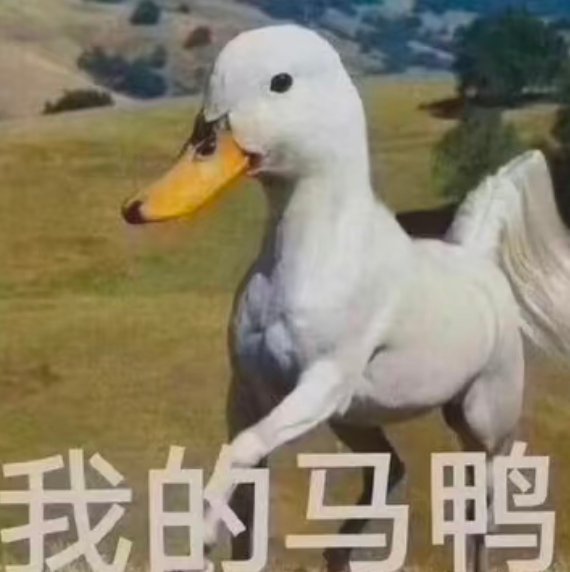 是马🐴❓是鸭🦆❓是🐴鸭🦆❗ ​​​