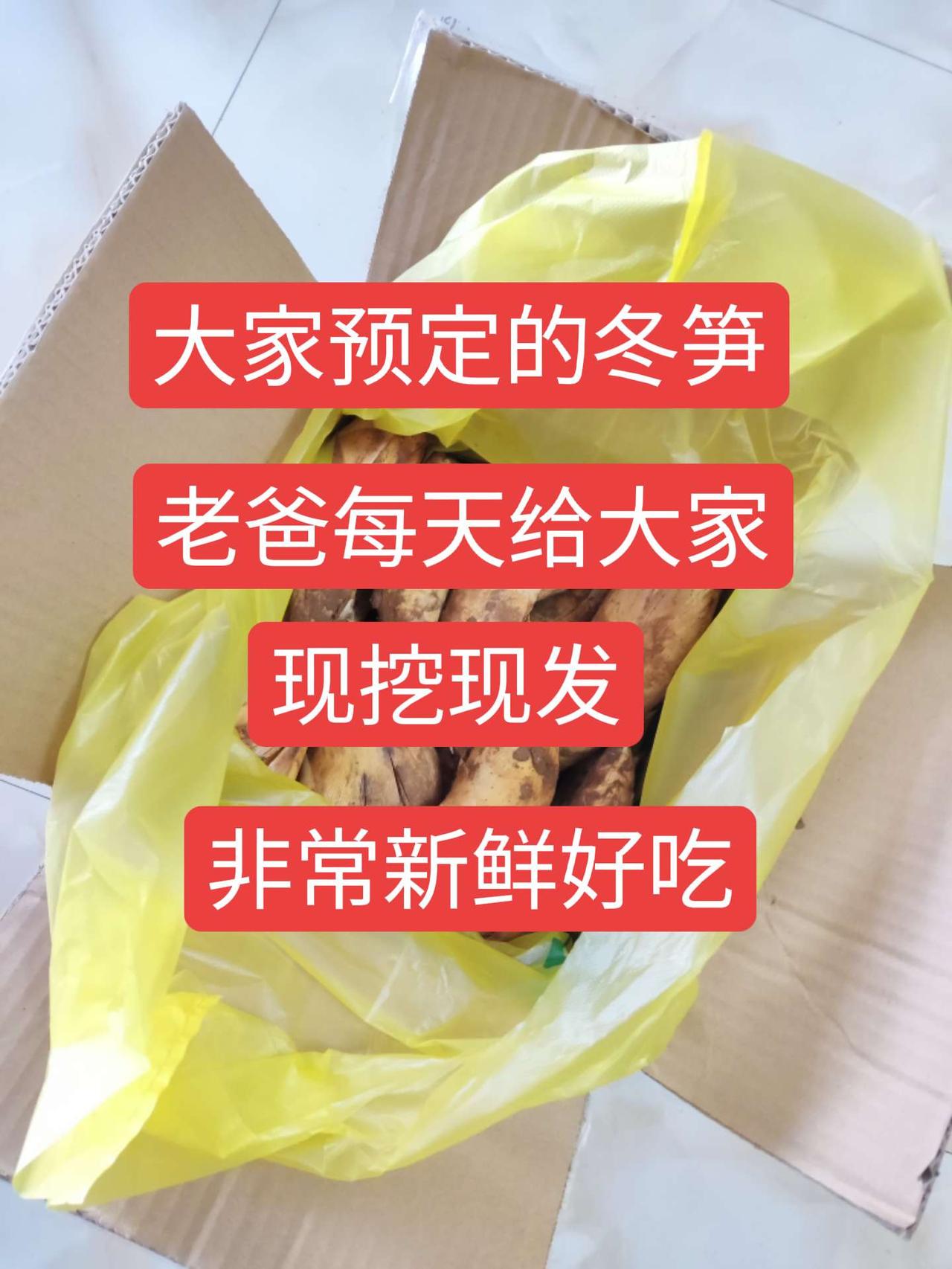 挖笋的乐趣只有体验过才懂 大山里的味道 冬笋 大自然的馈赠