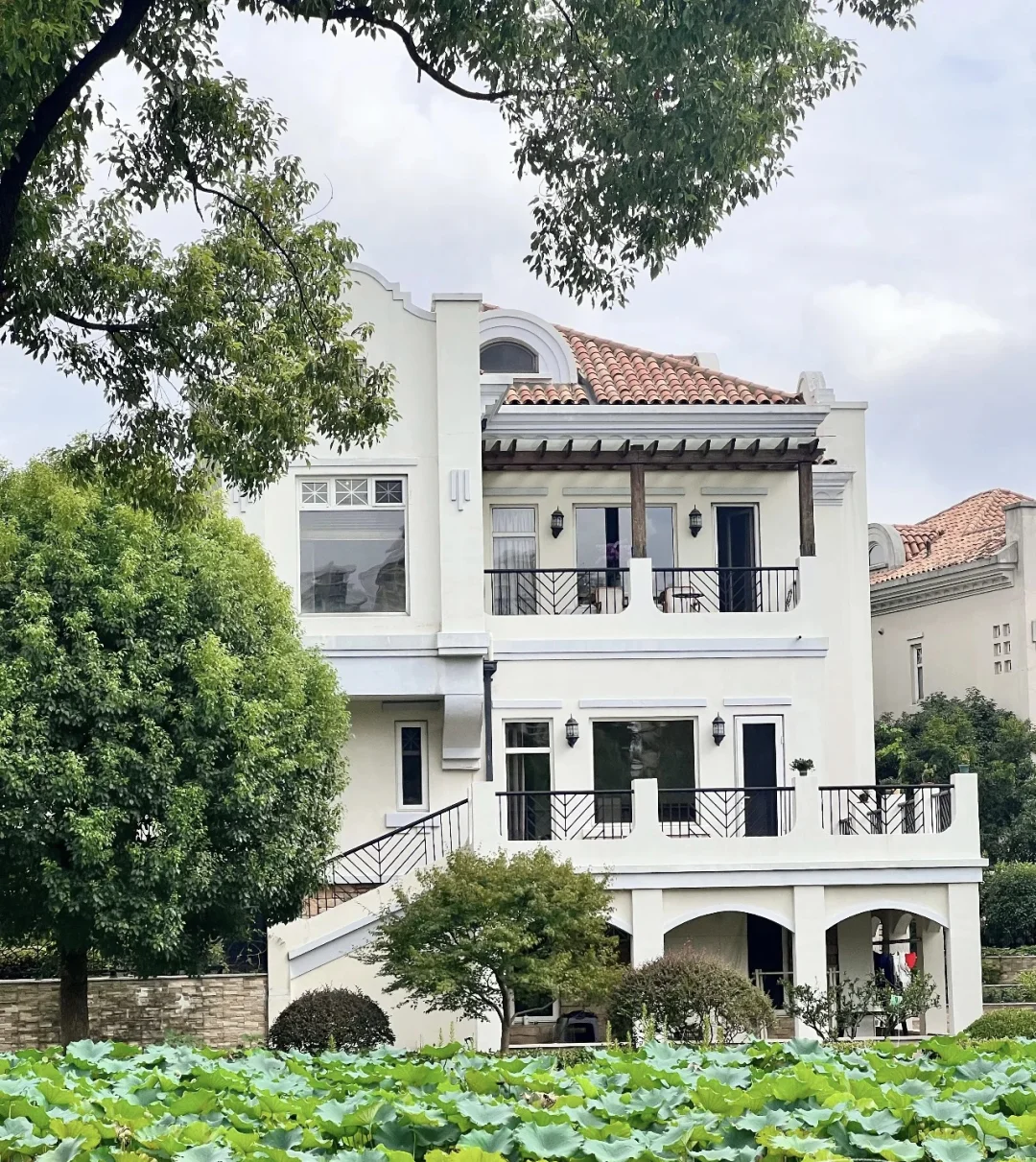 🌟 云间绿大地，邂逅时尚现代法式浪漫