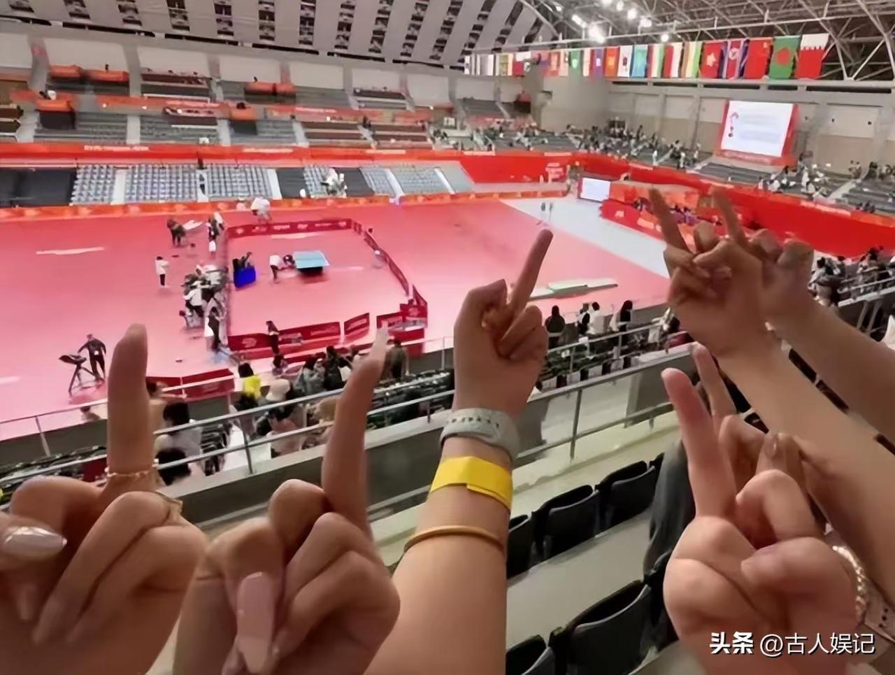 乒乓球从什么开始有这饭圈文化，逼走了樊振东陈梦，王曼昱林诗栋感受嘈杂，影响比赛。