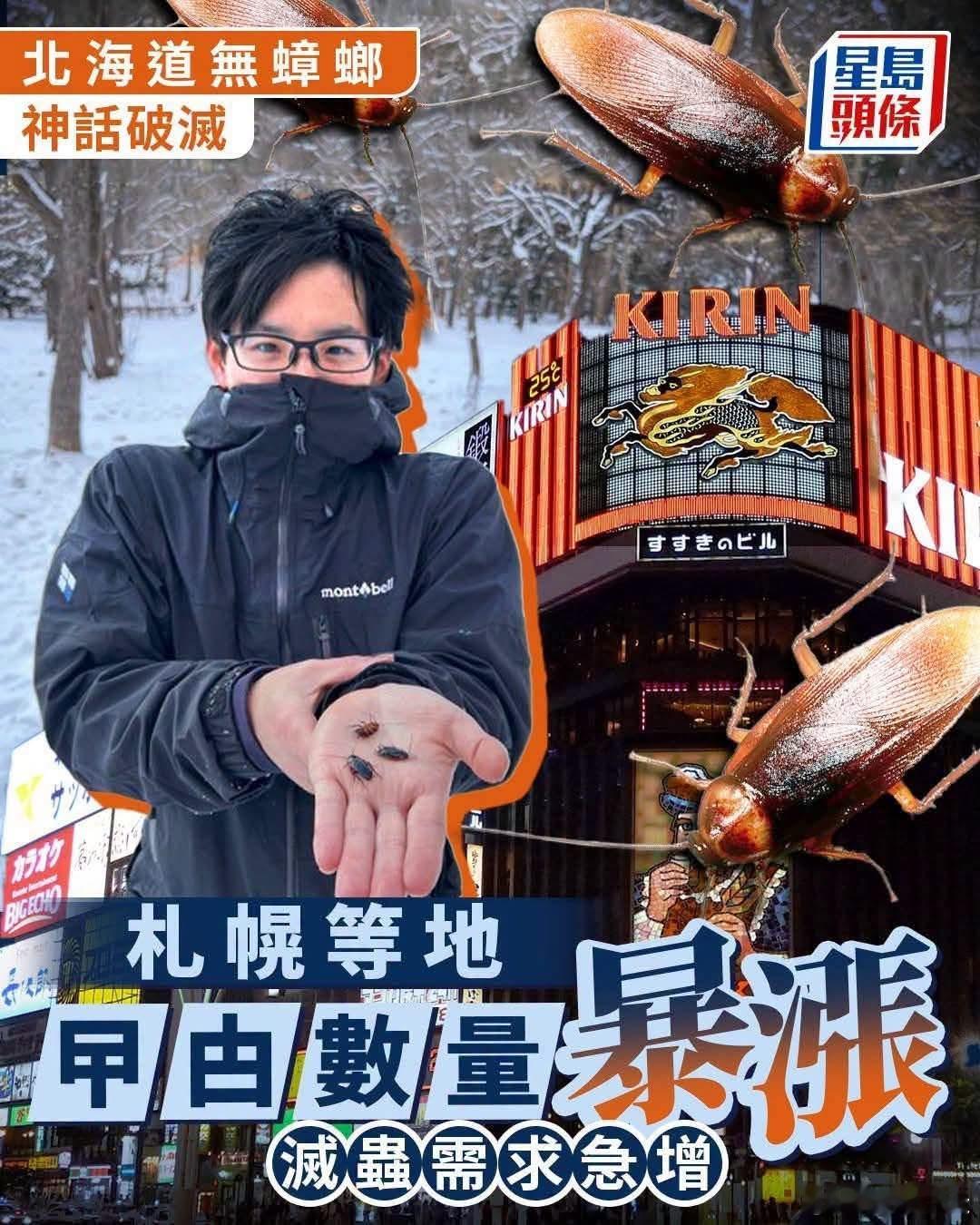 日本曱甴暴增，连原来没什么曱甴的北海道也开始出现曱甴。这些曱甴哪来的呢？北海道遭
