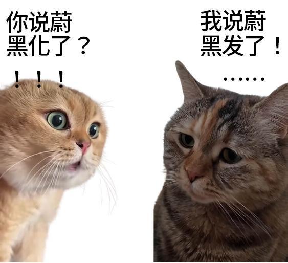 #双城2蔚全新形象曝光# 黑发造型，地下拳击，主打一个硬帅。挥拳之间眼前的人一一